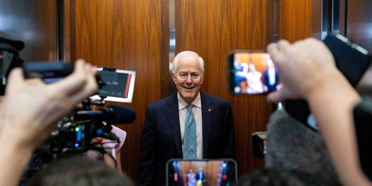 ‘Pathetic’: Fury as Senate Republican 'blinks' first in 'kabuki standoff' with Trump
