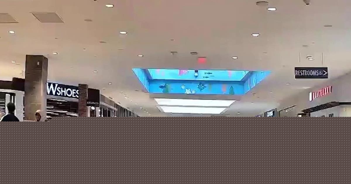 Teen held without bail after shooting at Westfield Wheaton Mall as new video released