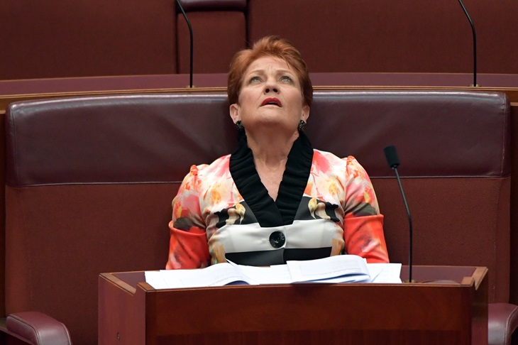 Pauline Hanson vs anti-capitalist students
