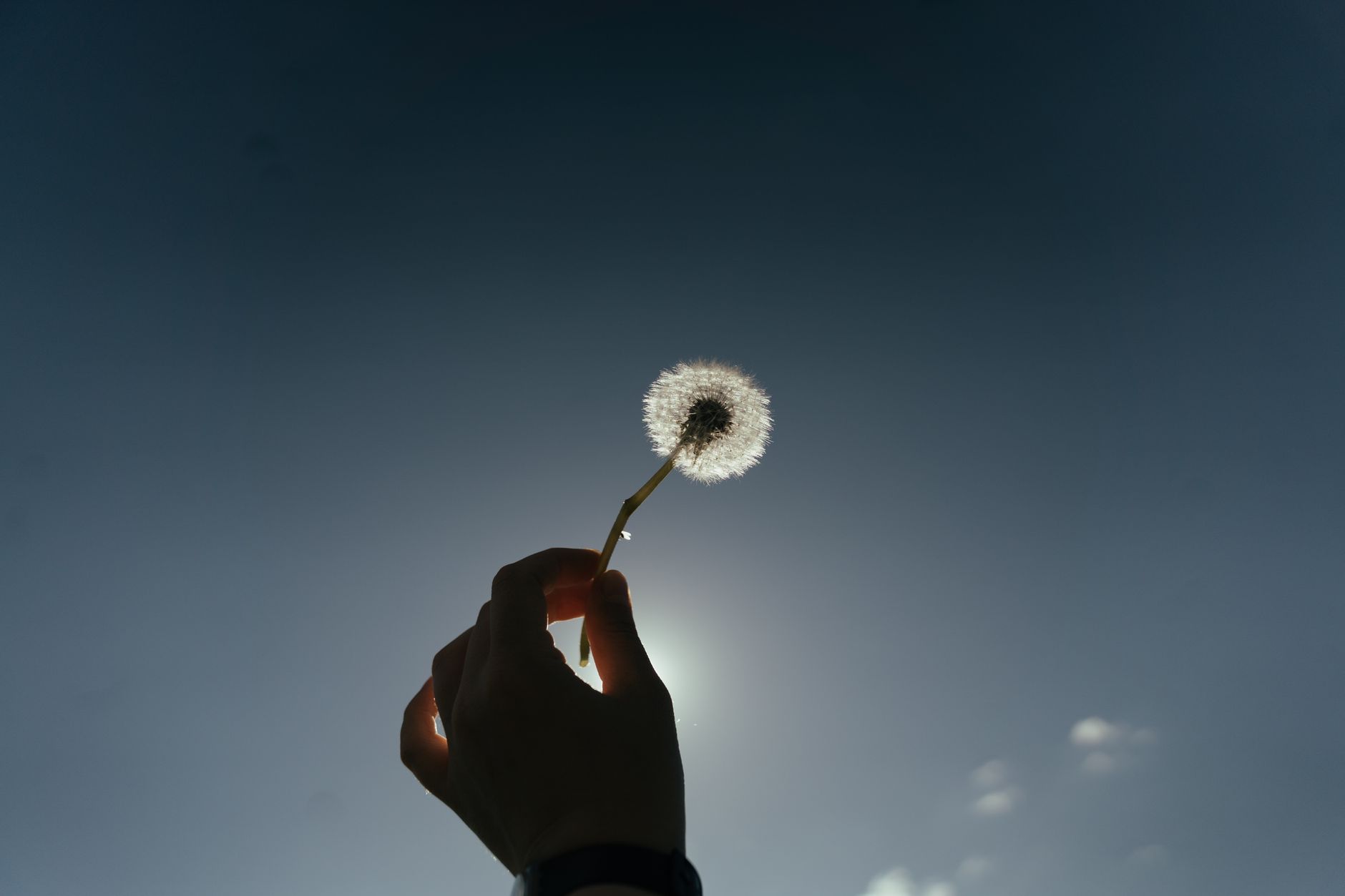 The fear of letting go is partly an accounting error: the sunk cost fallacy shows we cling to failing plans because of what we already spent, and research on goal disengagement finds that releasing an unreachable goal, then redirecting the effort, tends to improve wellbeing