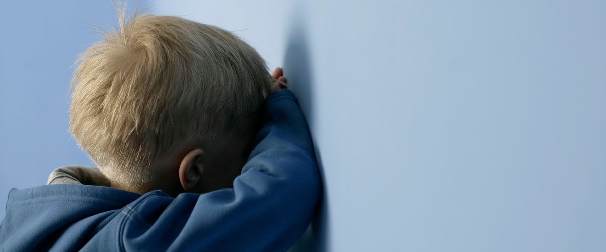 Cafards, violences... sept enfants couverts de tiques et de puces découverts au domicile familial, les parents ont été placés en garde à vue