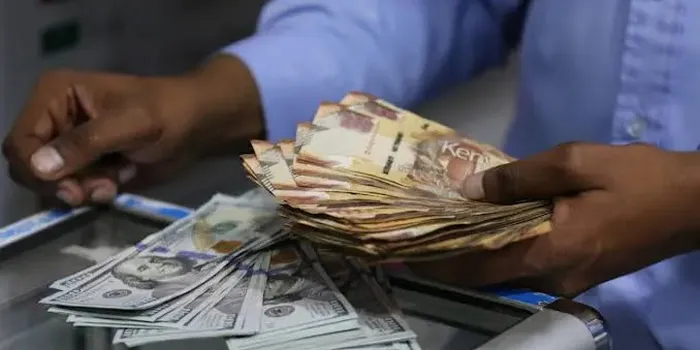Kenyan Shilling to Hold Steady as Dollar Demand Falls, Traders Say