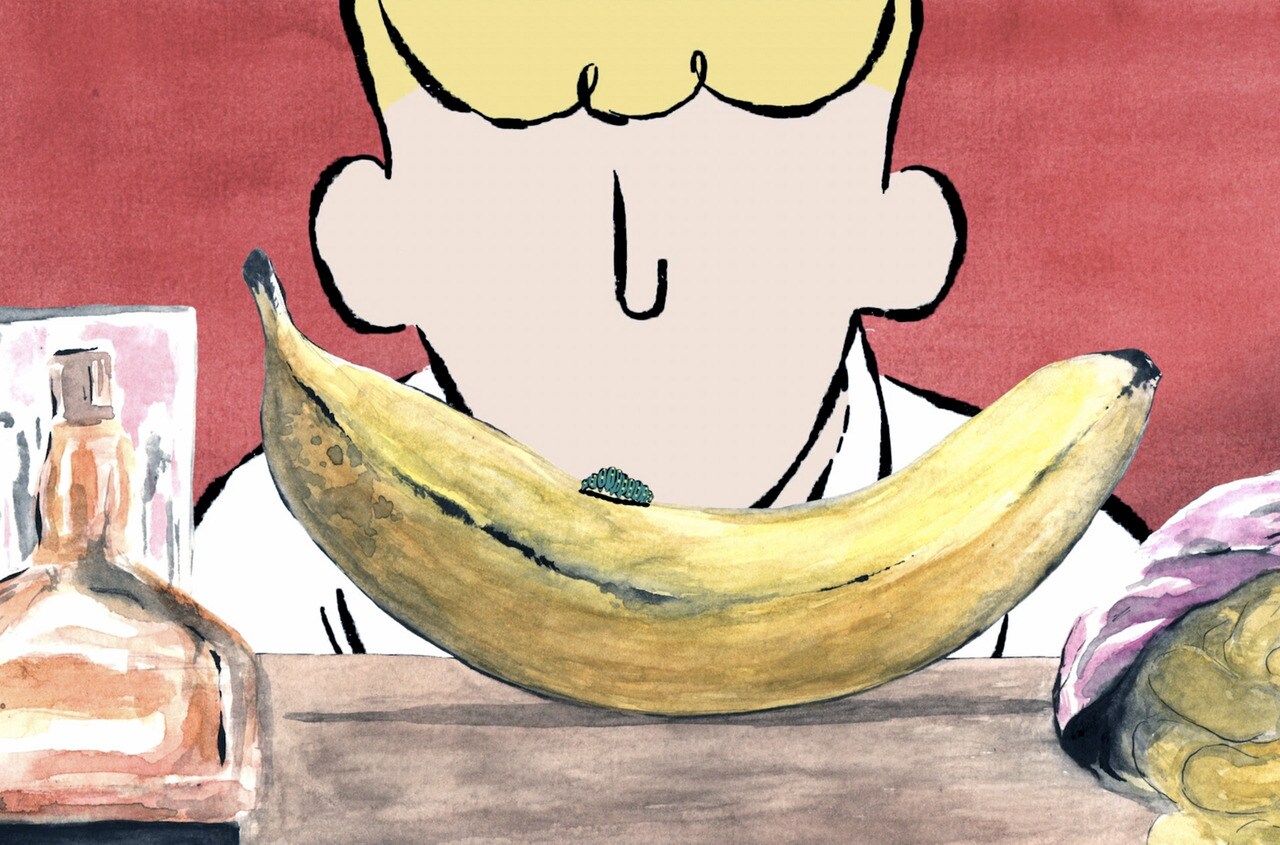 00:35 | ARTE | Ich habe eine Raupe verschluckt