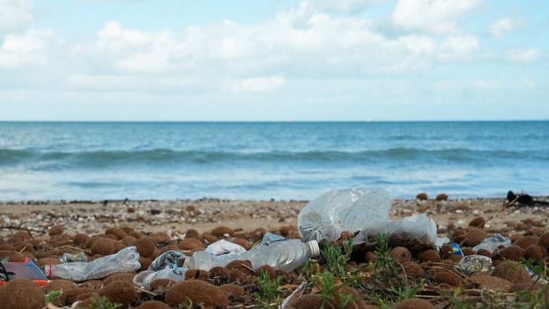 EU packaging rules take effect with limits on ‘forever chemicals’, plastics curbs