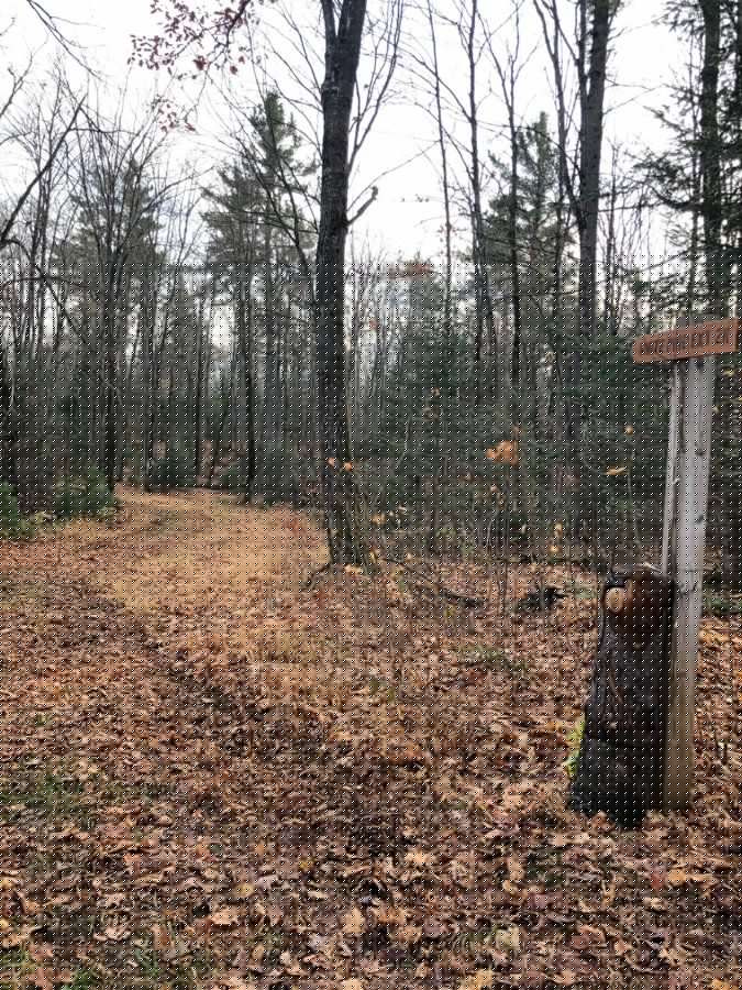 Five Sault conservation areas added to Canada's 30×30 conservation goals