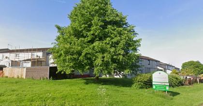Order created to protect 'landmark' tree on entrance to town