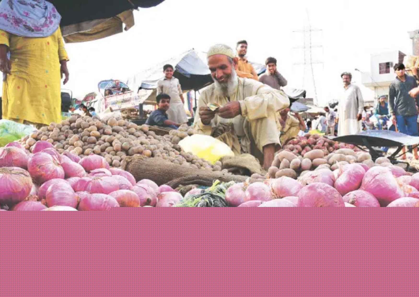 Onion Farmers Turn Away as Losses Mount
