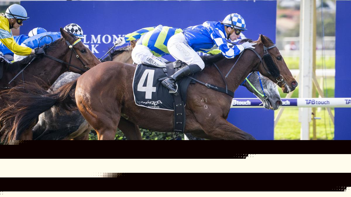 Belmont Newmarket winner well concealed as competitive field line up for $125,000 Saturday feature