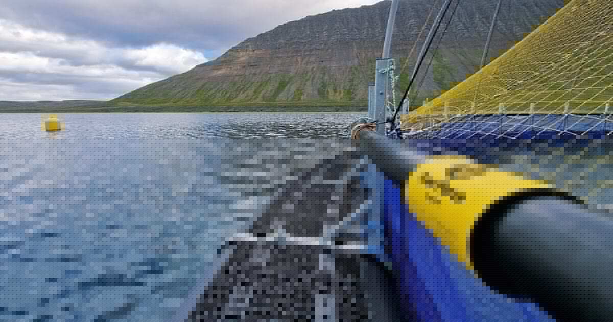Gael Force installs SeaQure system in Iceland