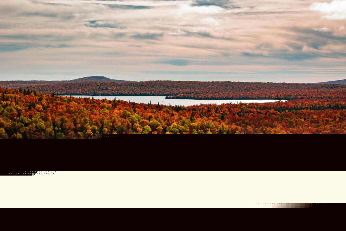 Can Michigan’s Upper Peninsula Go for the Three-Peat? Vote to Keep the U.P. at #1 for Best Fall Foliage