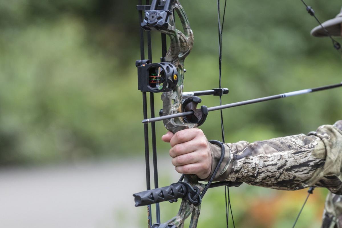 Bear And Deer Hunting Seasons Underway In New York
