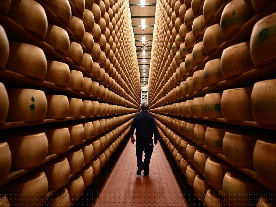 Summer heat threatens Italy's billion-dollar cheese economy