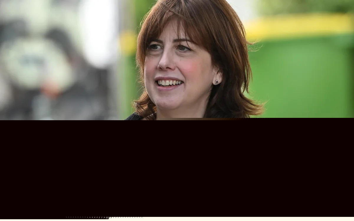 New trans rules go too far, says Labour deputy leadership frontrunner