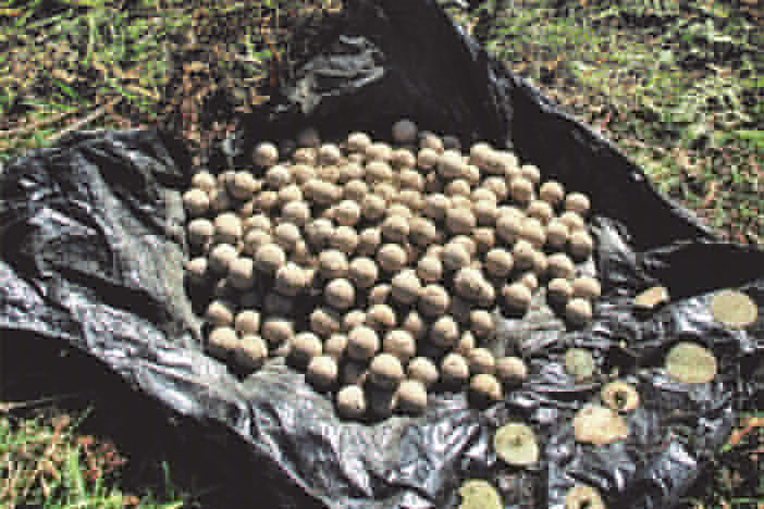 Bonnie Prince Charlie’s Culloden battle hoard found