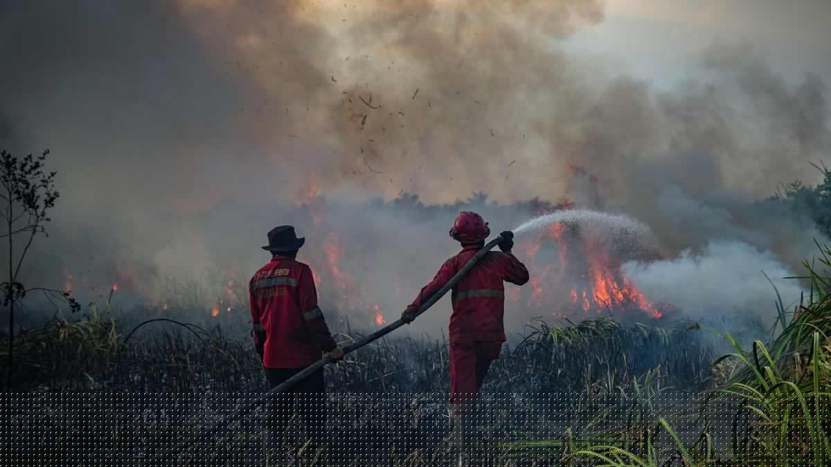 Warga Tewas Terbakar Saat Terobos Kepulan Asap Karhutla di Ketapang