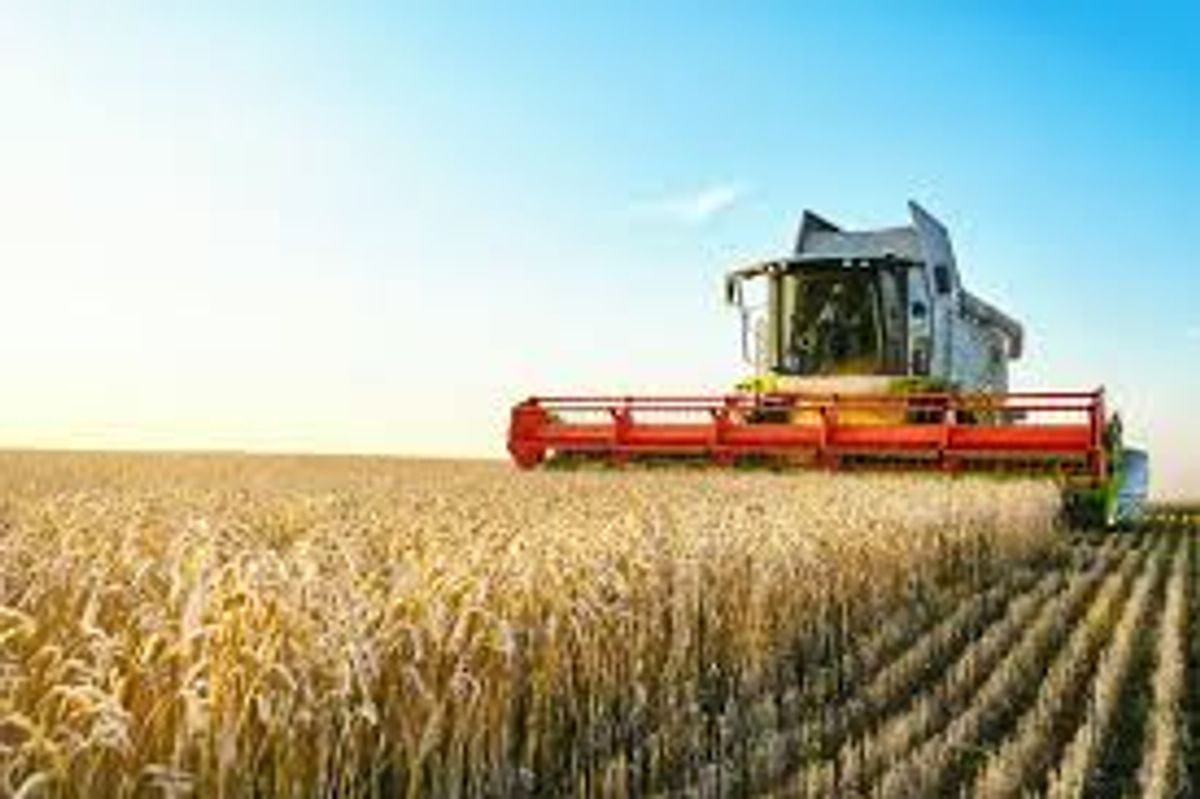 What the government shutdown means for USDA agencies