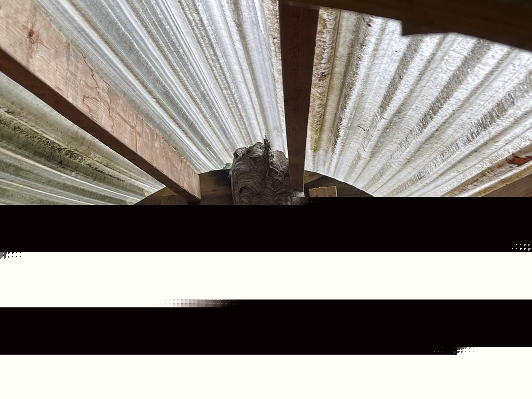 Mildly Infuriating - Walked out to shower this morning