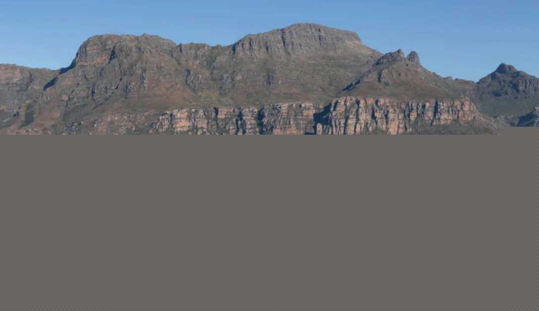 South Africa’s Rooibos Tea Becomes Global Sensation