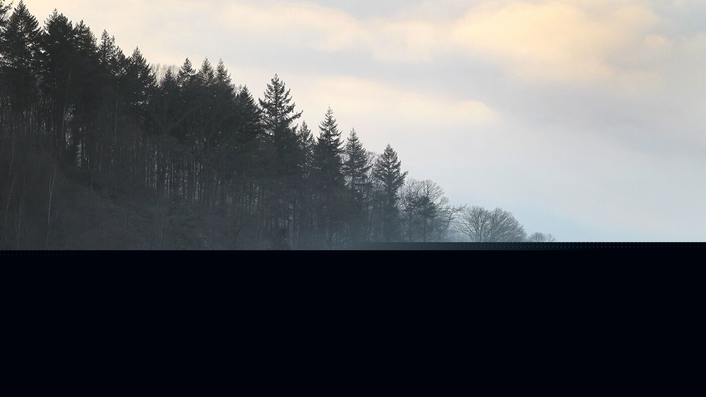 Throughline Sleeps