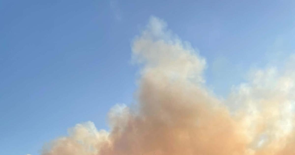 Aftermath of heathland fire becomes clearer as daylight breaks