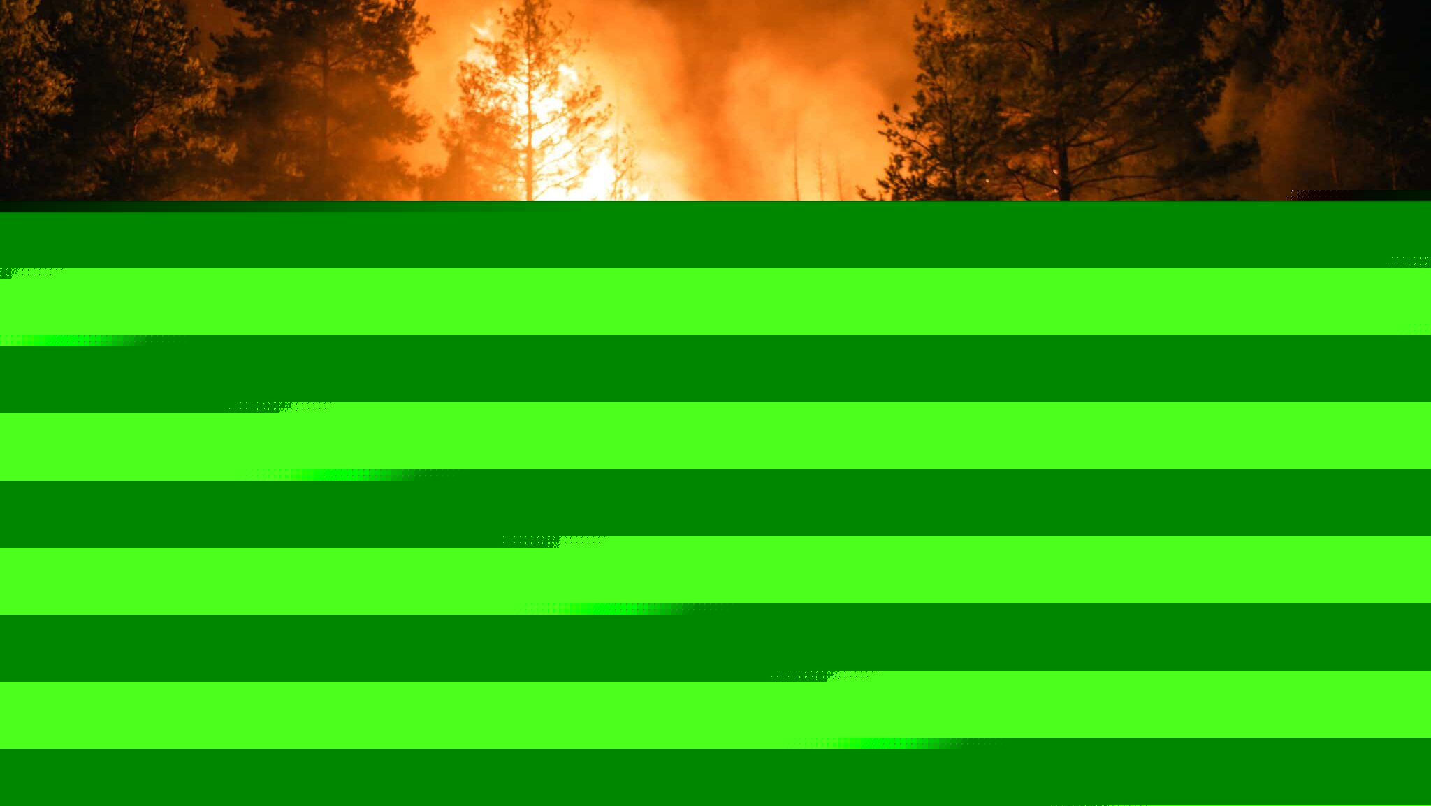 Serbian Firefighters Douse Wildfire in Deliblato Sands After Seven-Day Blaze