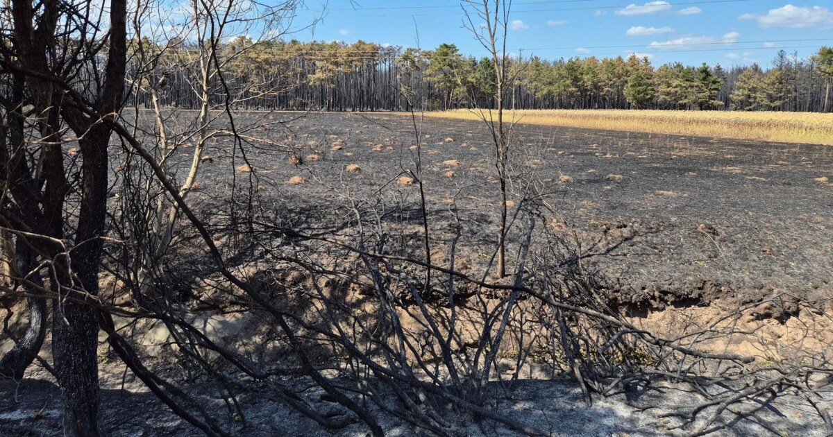 „Es ist geschafft“ - Nach fünf Tagen: Endlich „Brand aus“ im Föhrenwald