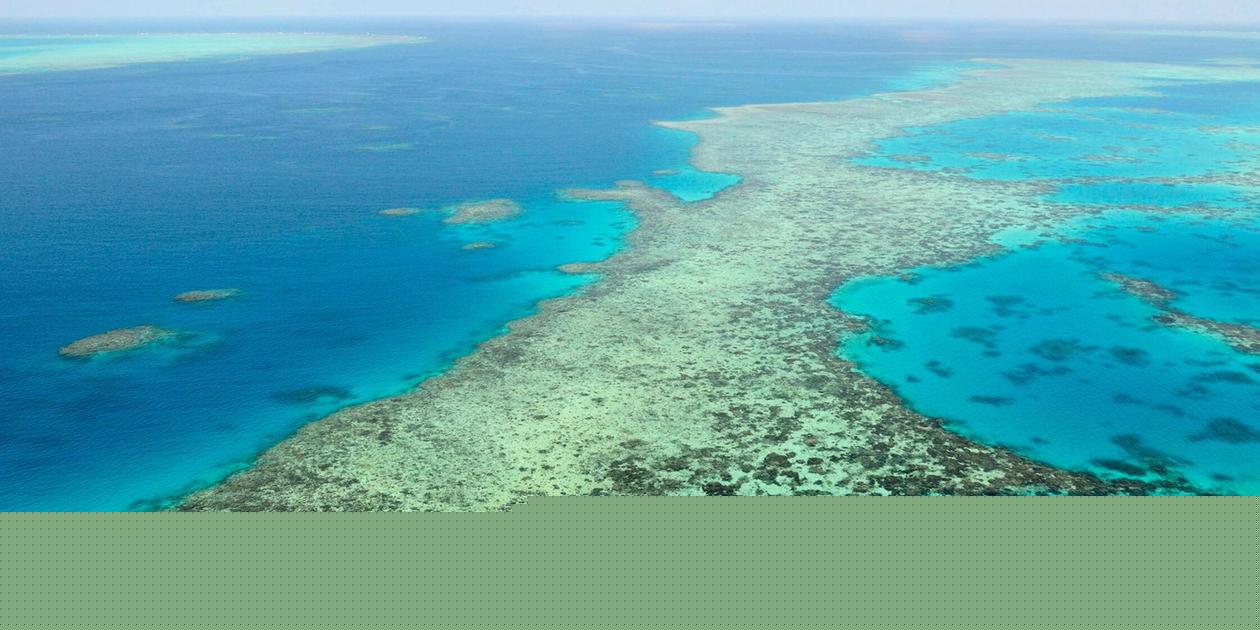 „Ermutigende Anzeichen einer Erholung“: Monsun stoppt Korallenbleiche im Great Barrier Reef