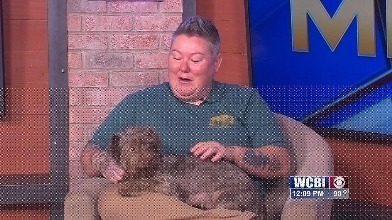 Pets Without Partners (Regina) – 08/07/26
