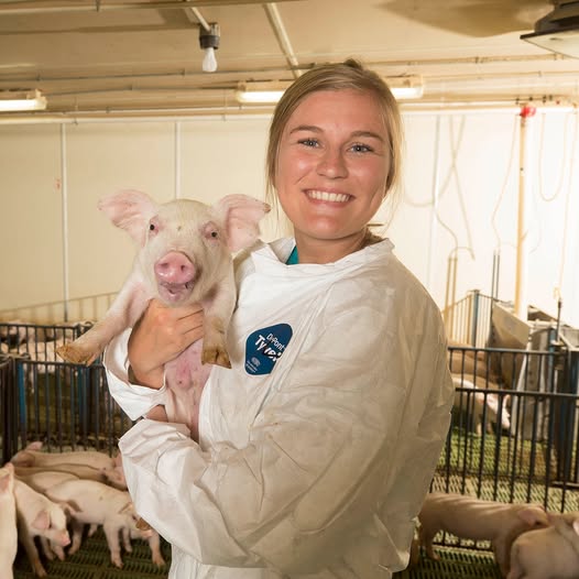 Brats, Bacon, and Beyond: The Wisconsin Pork Experience