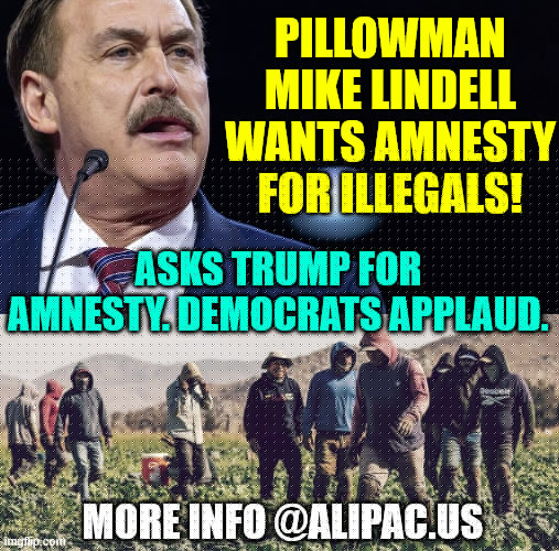 Pillowman Mike Lindell Wants Amnesty for illegals