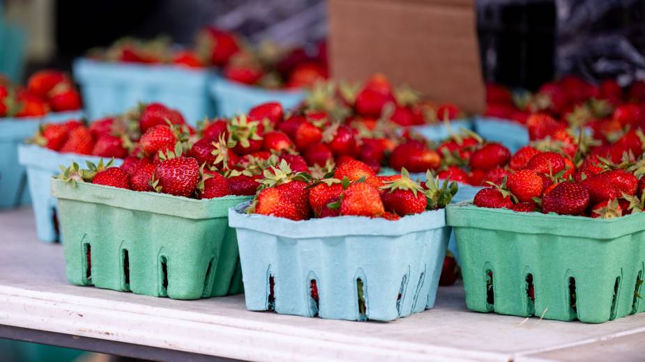 Missing Berries at Ohio Farmers Markets? Here’s Why