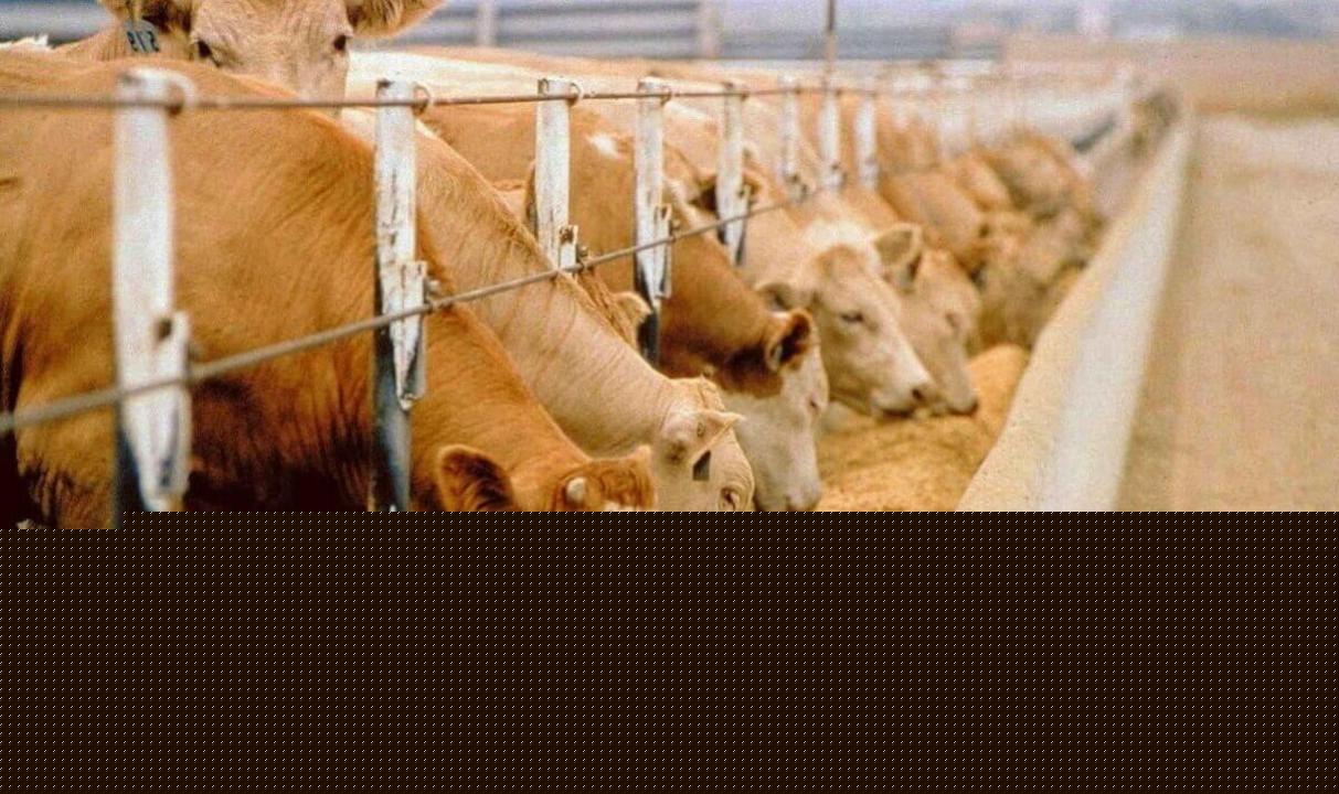 Tajikistan highlights leading role of households in agriculture