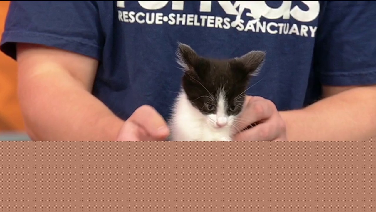 Pet of the day: Jana
