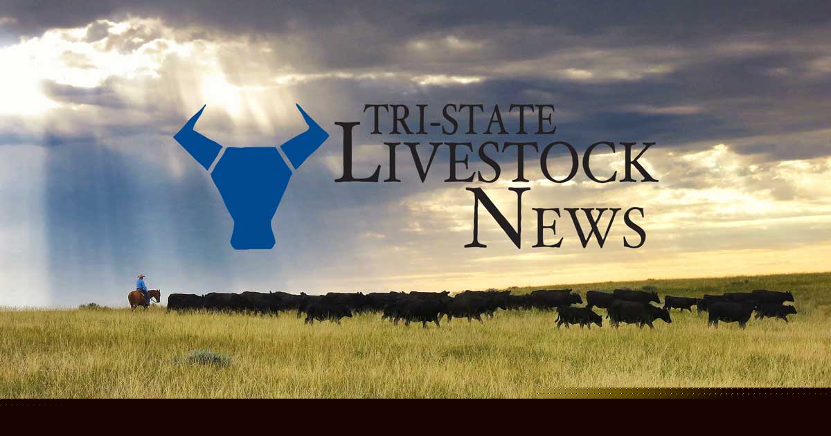 NCBA, PLC, WCA urge Senate to pass bill delisting gray wolf