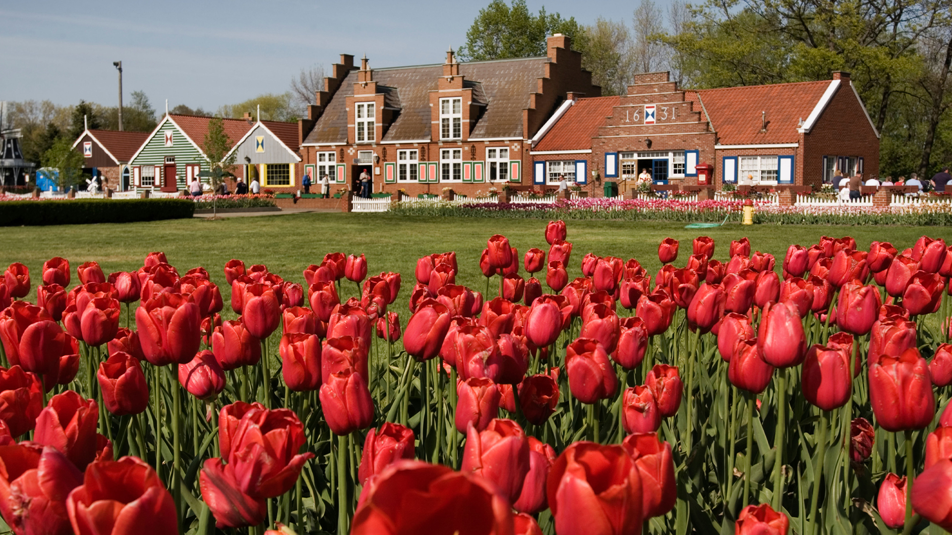 Historic city known as the ‘Holland of America’ lands you among tulip festivals and clog dances for only a $200 flight