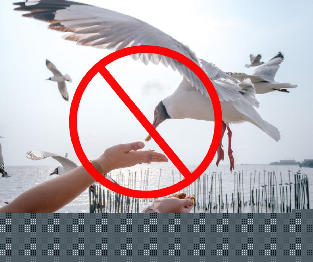 10 Weird Things That Can Get You in Trouble in New Jersey