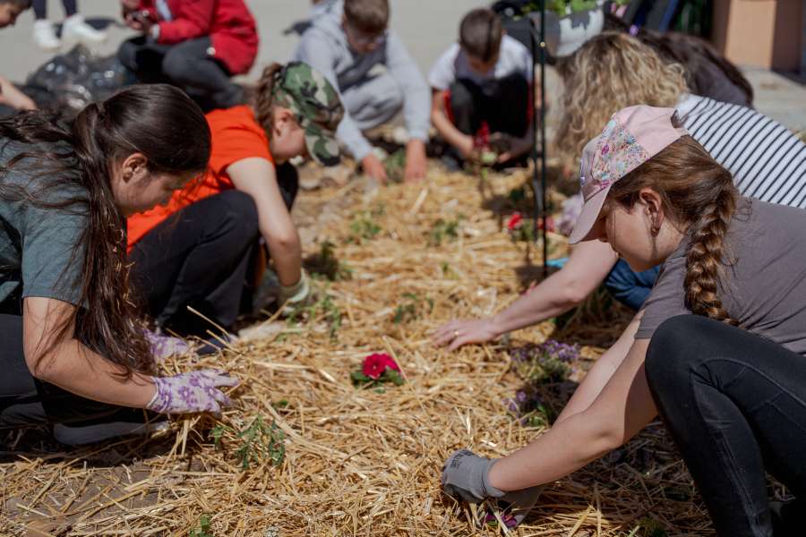 EduGrădina: grădini pedagogice pentru comunități de învățare durabile