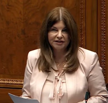 Foyle MLA says untreated endometriosis represents financial and social cost to society