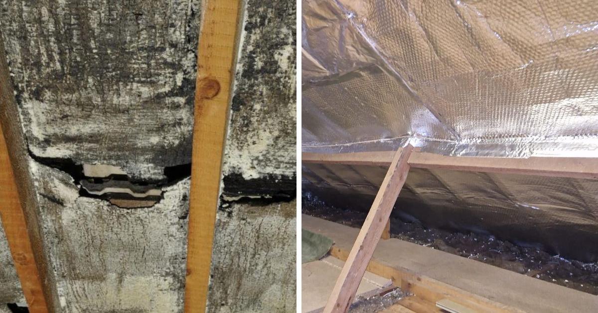 Local business helps elderly couple who lost thousands in loft insulation scam