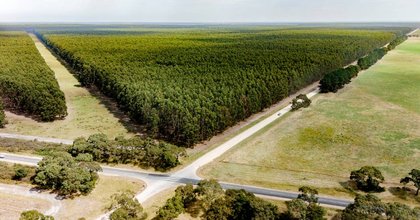 Patient buyer wanted for the return of choice farming country in SE