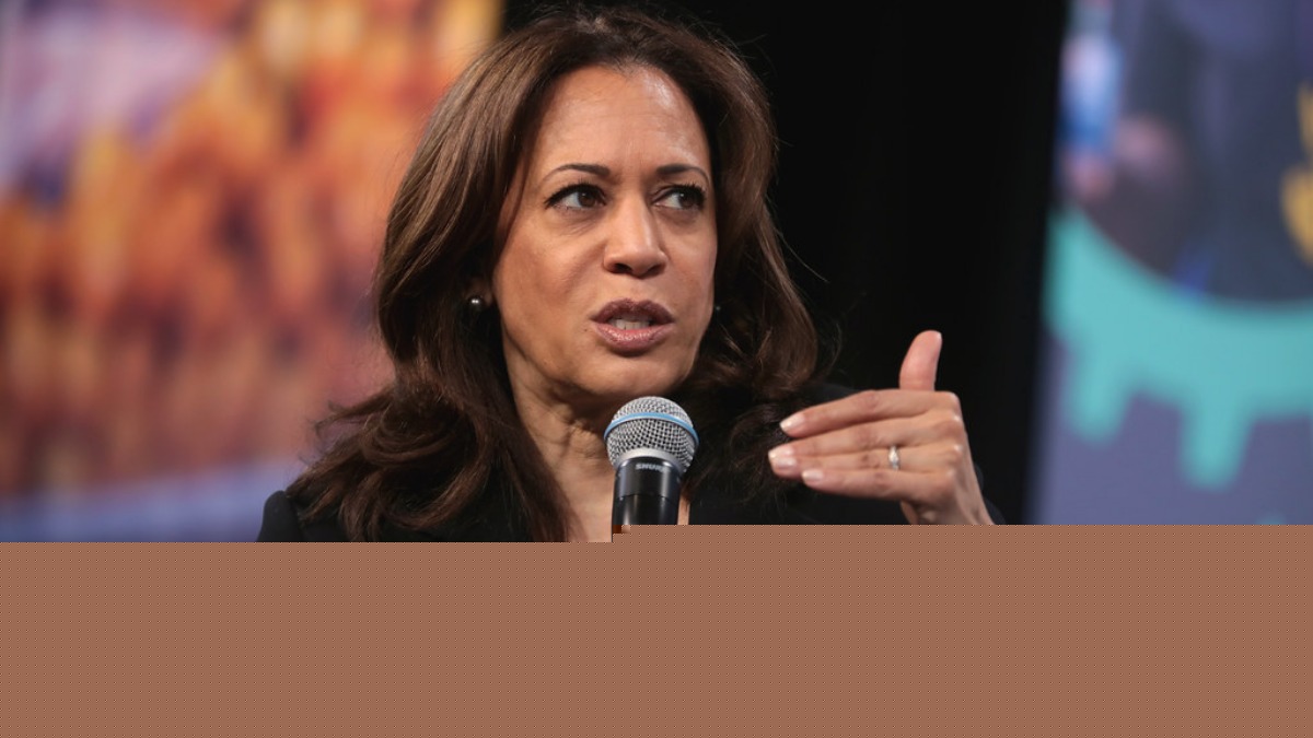 Kamala Harris urges Democrats to become ‘too big to rig.’ She says the party needs to ‘revisit the Electoral College’ for future presidential wins