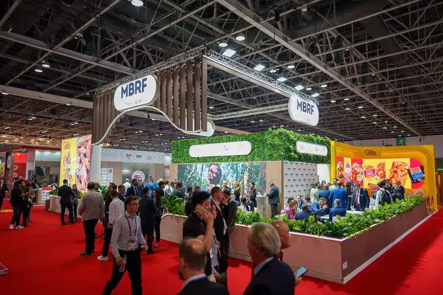 MBRF Profit Plunges 92%, Then Rebounds 26%