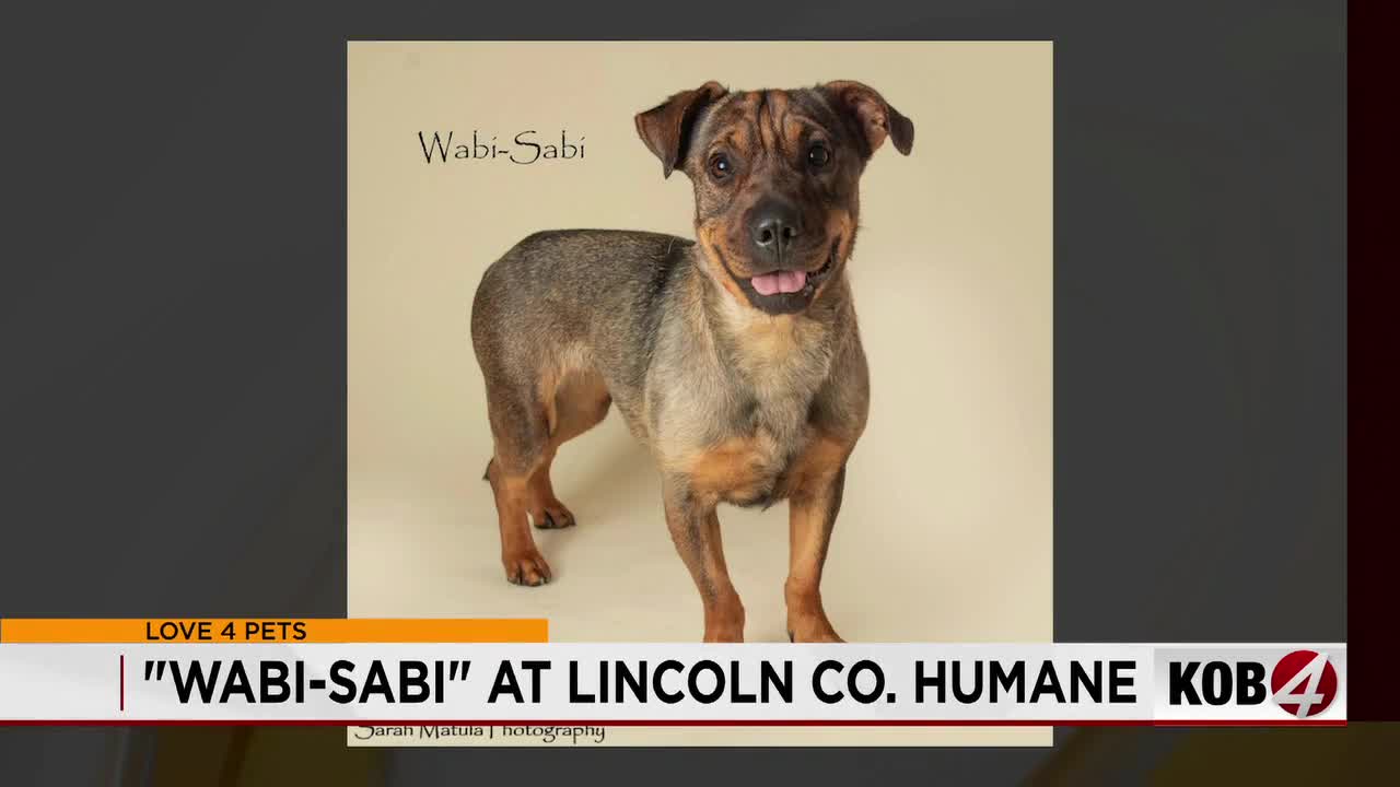Love 4 Pets: Wabi-Sabi