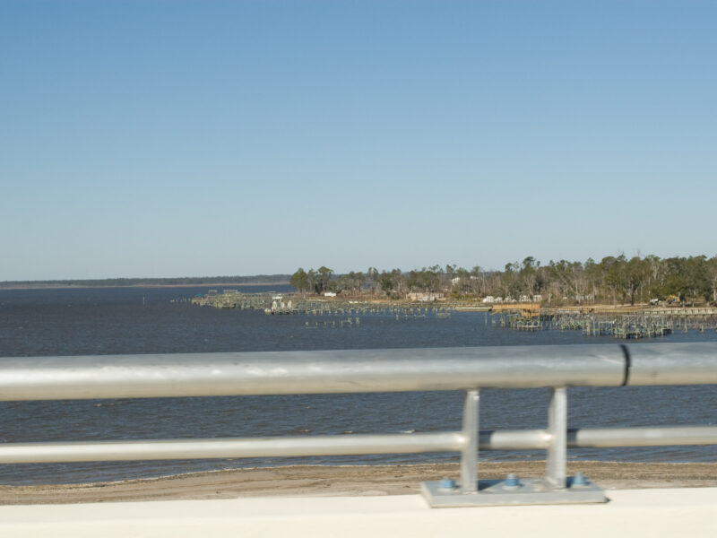 Rising sea levels spell disaster for US coastal wetlands