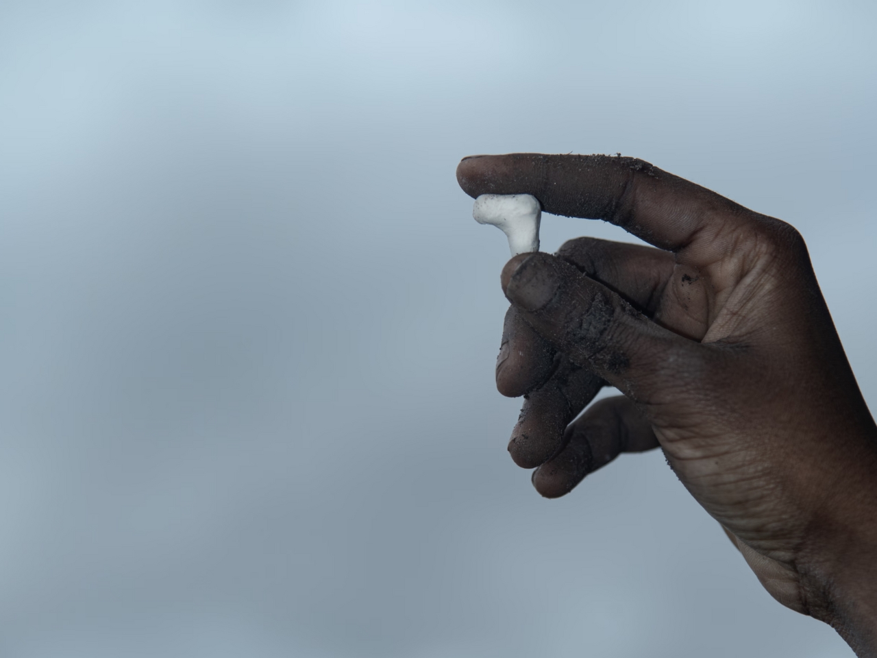 Capsule can bring healthier, resilient soil in a sustainable package