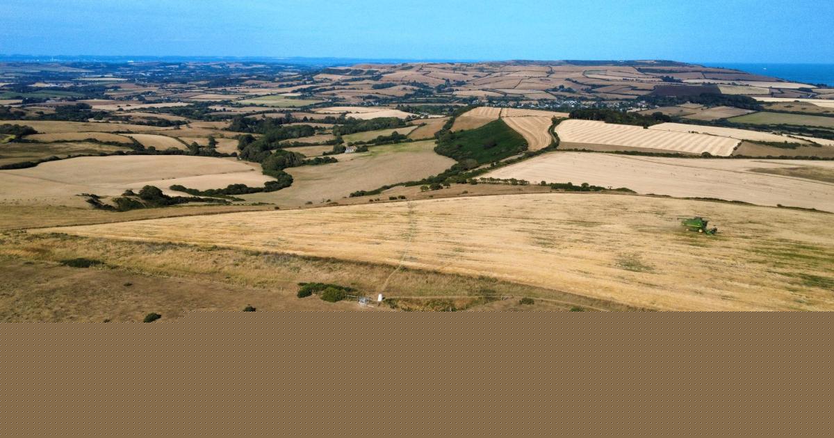 Drone photos reveal impact of "unprecedented" dry weather on the Isle of Wight