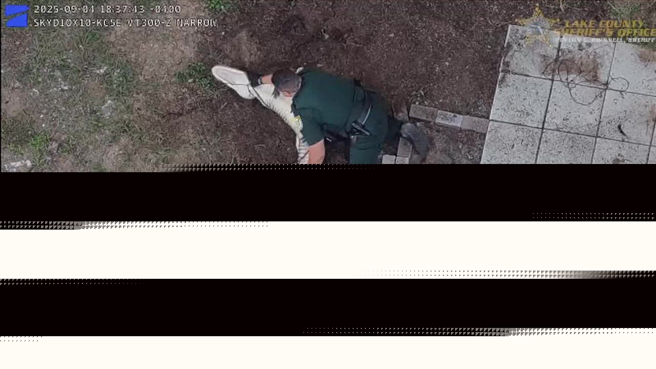 Video: Lake County deputies chase and capture gator on woman's property