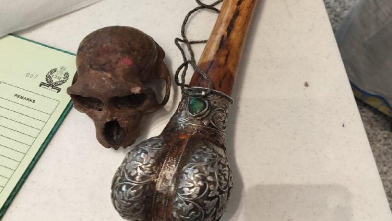Delhi: CISF Detains Traveller at IGI Airport Carrying Monkey Skull to Hyderabad (See Pics)