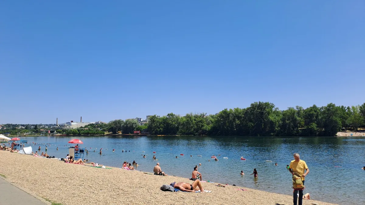 Neobičan prizor na Adi Ciganliji: U jezeru primećene slatkovodne meduze - da li su opasne?