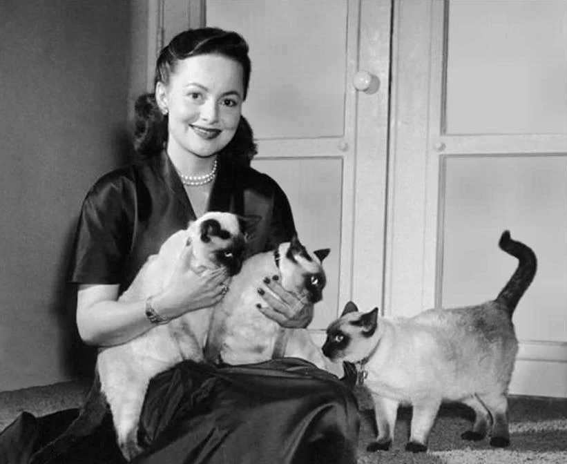 35: Star Wars Episode IX: Olivia de Havilland and John Huston, with Special Guest Rian Johnson